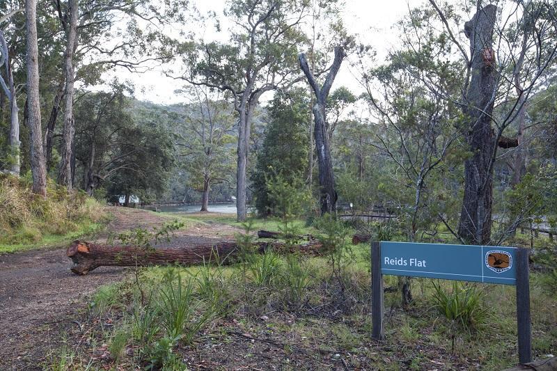 Royal National Park Cottages Engadine Экстерьер фото